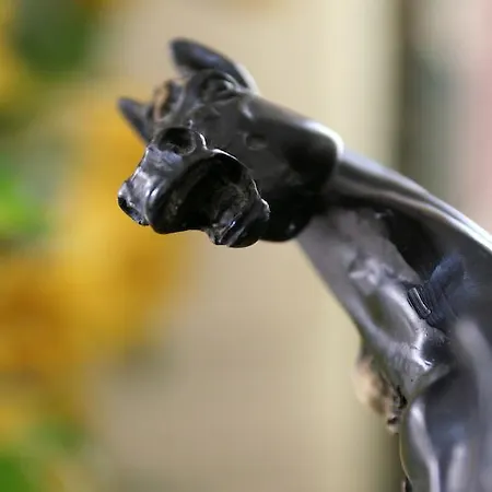 L'hotel Le Cheval Noir ホテル 3*